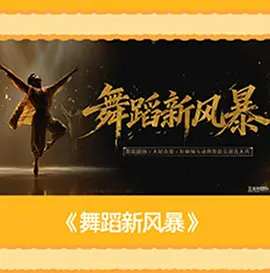 电影天堂舞蹈新风暴海报